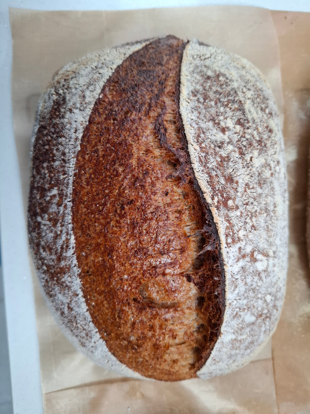 Wholemeal Sourdough