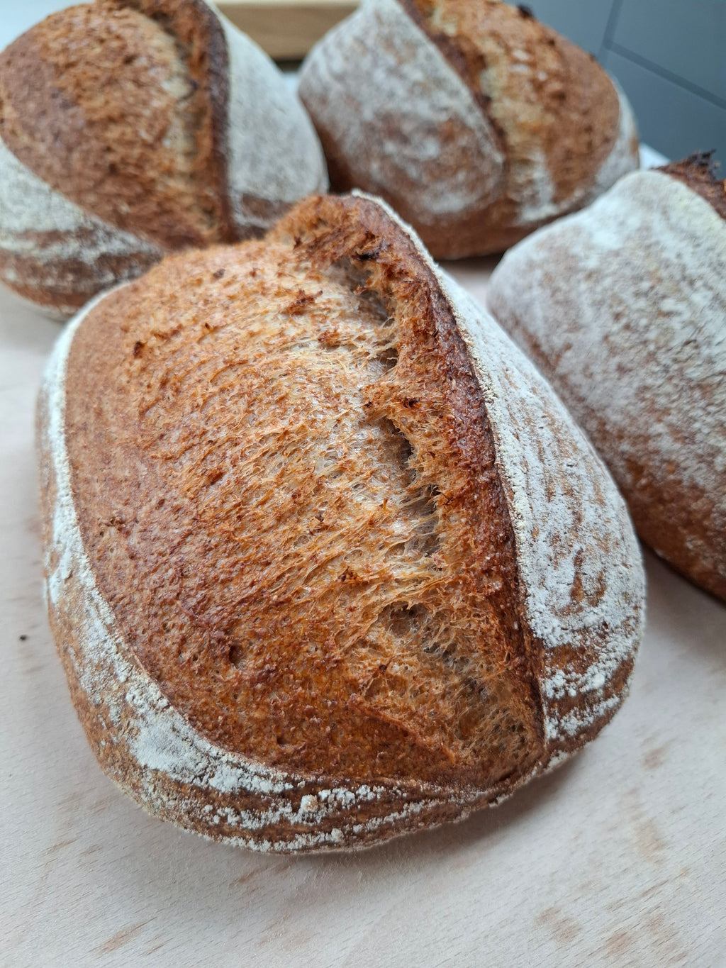 Wholemeal Sourdough